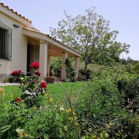 S'Orrosa Casa Vacanze Bifamiliare In Montagna Panorama Stupendo Sardegna Seulo Bagian luar foto