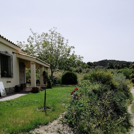 S'Orrosa Casa Vacanze Bifamiliare In Montagna Panorama Stupendo Sardegna Seulo Bagian luar foto