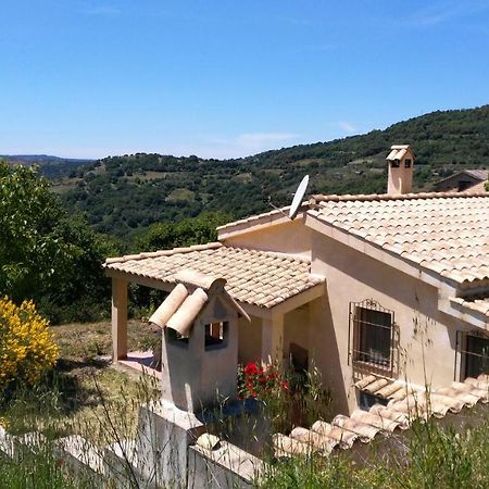 S'Orrosa Casa Vacanze Bifamiliare In Montagna Panorama Stupendo Sardegna Seulo Bagian luar foto