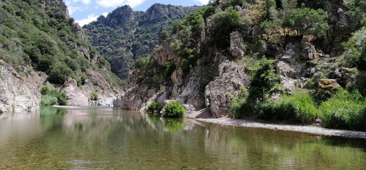 S'Orrosa Casa Vacanze Bifamiliare In Montagna Panorama Stupendo Sardegna Seulo Bagian luar foto