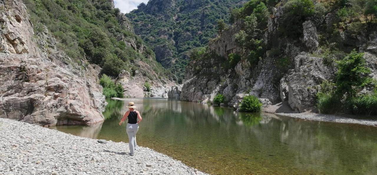 S'Orrosa Casa Vacanze Bifamiliare In Montagna Panorama Stupendo Sardegna Seulo Bagian luar foto