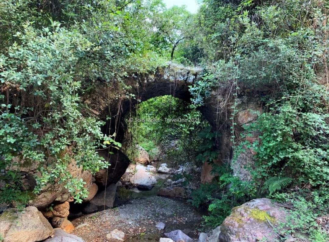 S'Orrosa Casa Vacanze Bifamiliare In Montagna Panorama Stupendo Sardegna Seulo Bagian luar foto