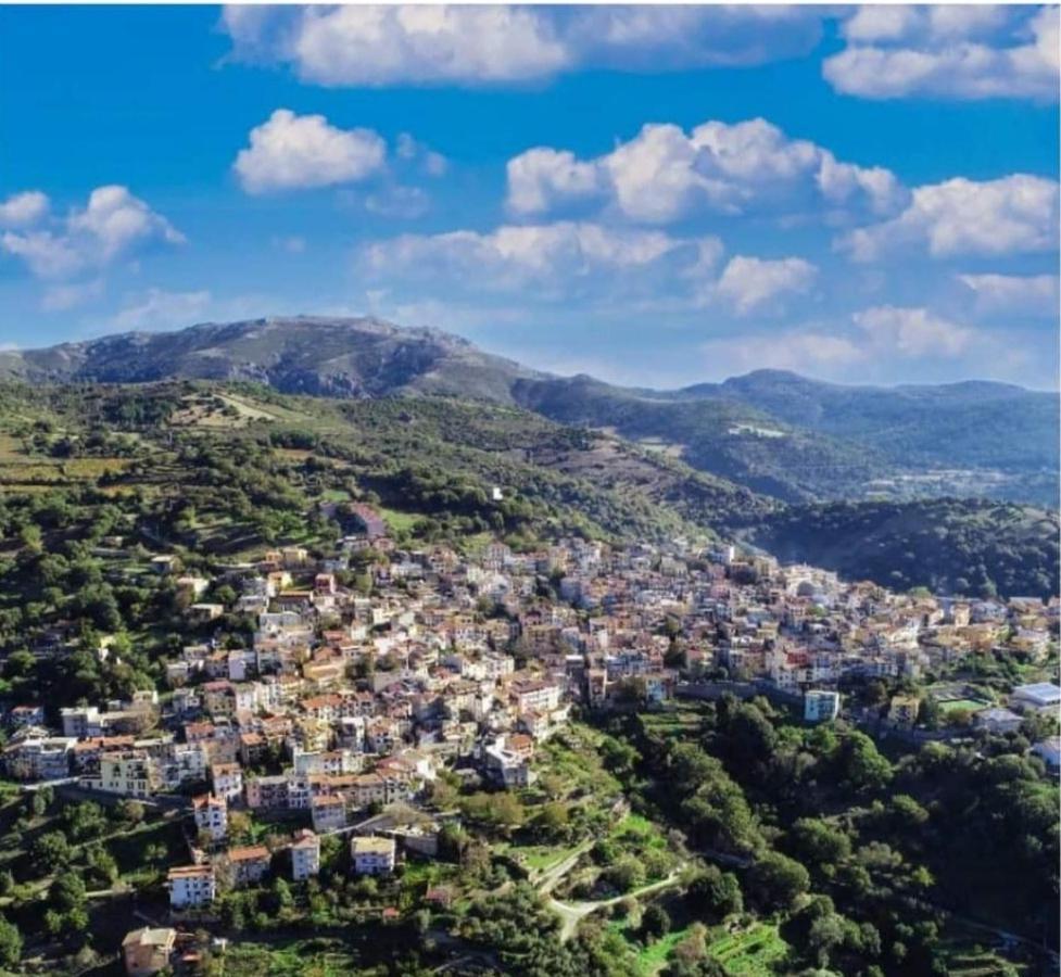 S'Orrosa Casa Vacanze Bifamiliare In Montagna Panorama Stupendo Sardegna Seulo Bagian luar foto