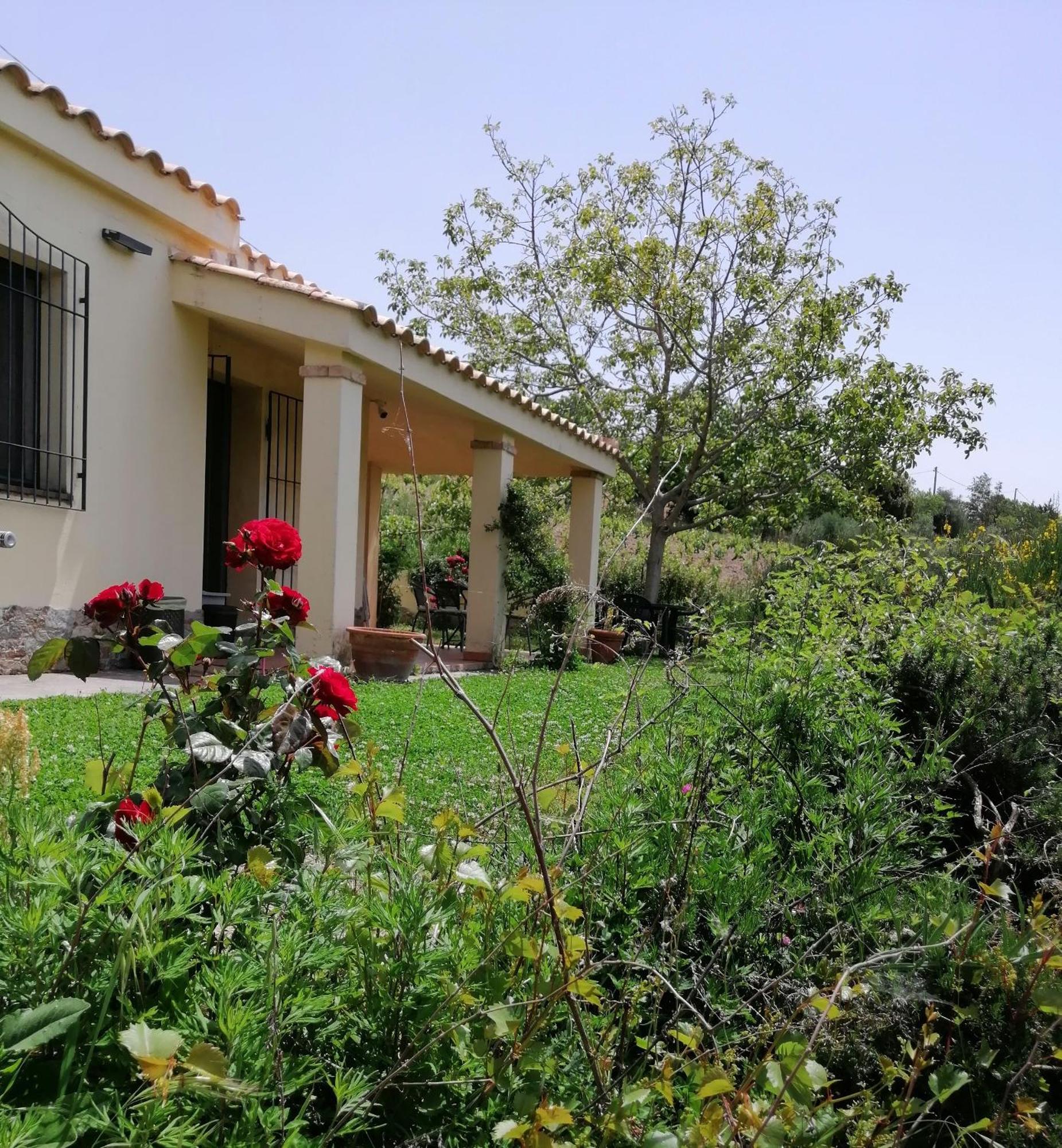 S'Orrosa Casa Vacanze Bifamiliare In Montagna Panorama Stupendo Sardegna Seulo Bagian luar foto