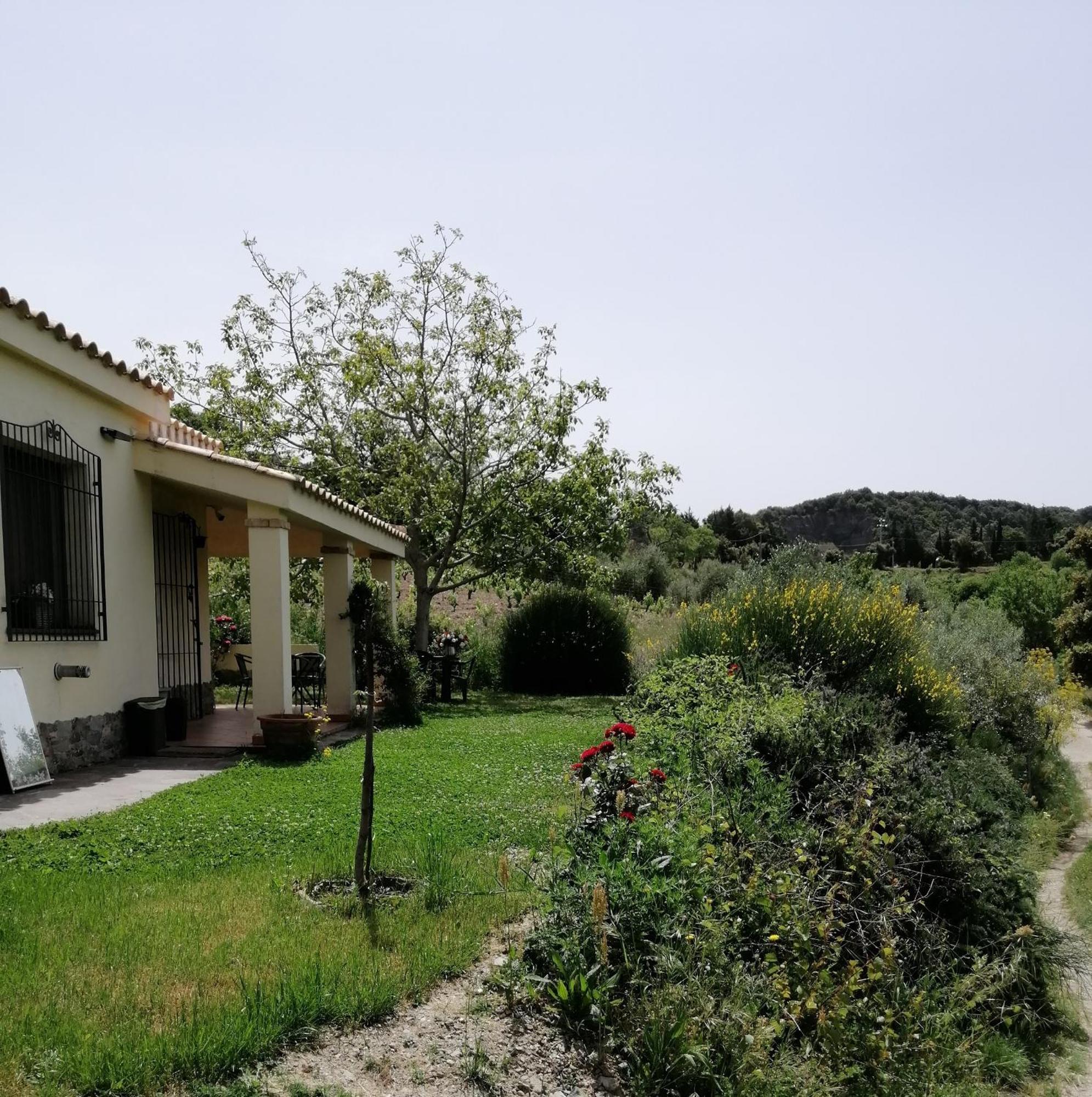 S'Orrosa Casa Vacanze Bifamiliare In Montagna Panorama Stupendo Sardegna Seulo Bagian luar foto