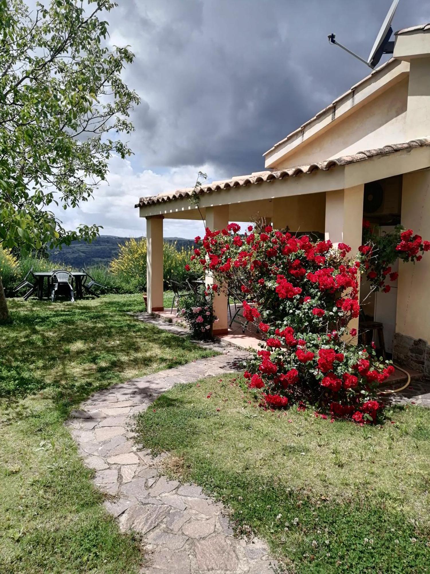 S'Orrosa Casa Vacanze Bifamiliare In Montagna Panorama Stupendo Sardegna Seulo Bagian luar foto