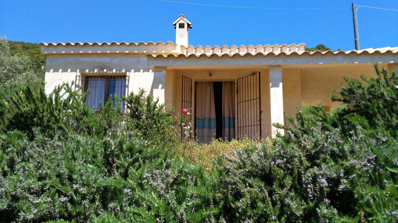 S'Orrosa Casa Vacanze Bifamiliare In Montagna Panorama Stupendo Sardegna Seulo Bagian luar foto