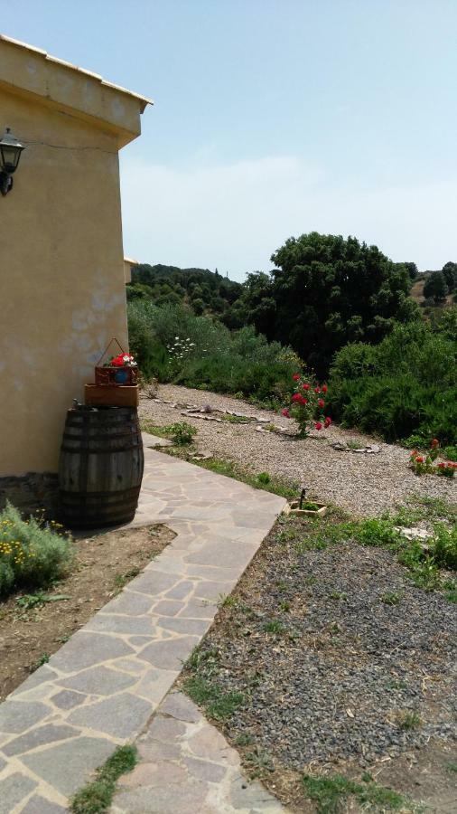 S'Orrosa Casa Vacanze Bifamiliare In Montagna Panorama Stupendo Sardegna Seulo Bagian luar foto