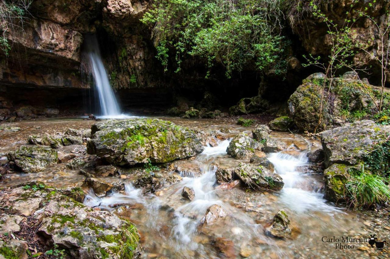 S'Orrosa Casa Vacanze Bifamiliare In Montagna Panorama Stupendo Sardegna Seulo Bagian luar foto