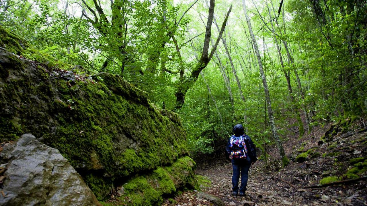 S'Orrosa Casa Vacanze Bifamiliare In Montagna Panorama Stupendo Sardegna Seulo Bagian luar foto