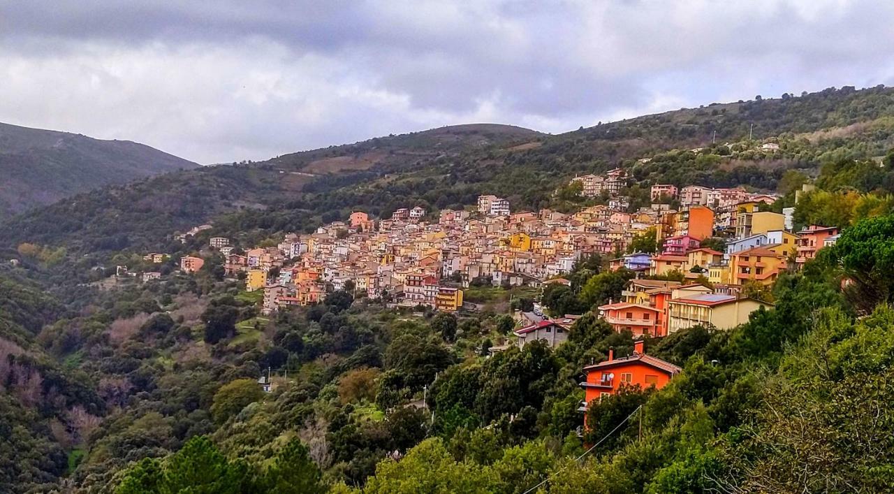 S'Orrosa Casa Vacanze Bifamiliare In Montagna Panorama Stupendo Sardegna Seulo Bagian luar foto