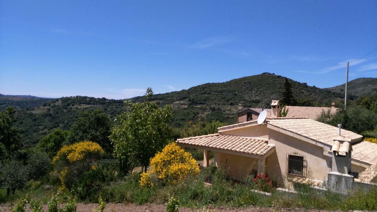 S'Orrosa Casa Vacanze Bifamiliare In Montagna Panorama Stupendo Sardegna Seulo Bagian luar foto