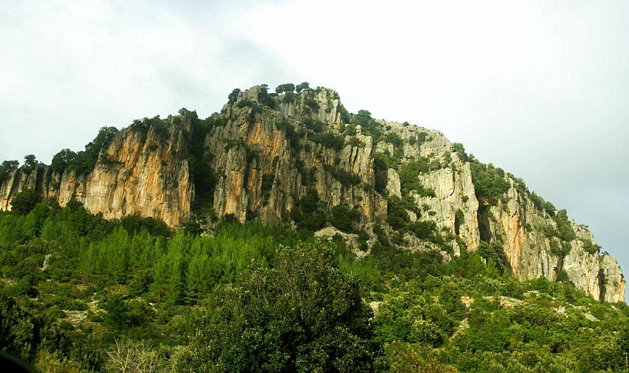 S'Orrosa Casa Vacanze Bifamiliare In Montagna Panorama Stupendo Sardegna Seulo Bagian luar foto