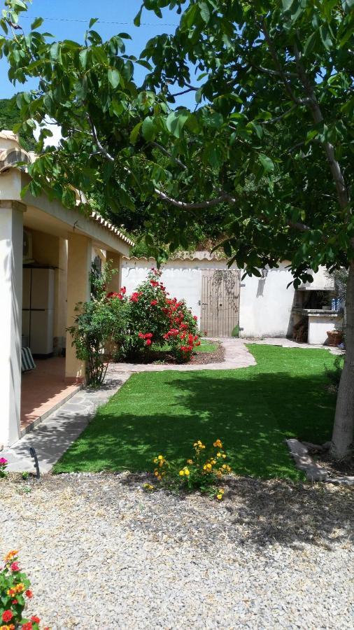 S'Orrosa Casa Vacanze Bifamiliare In Montagna Panorama Stupendo Sardegna Seulo Bagian luar foto