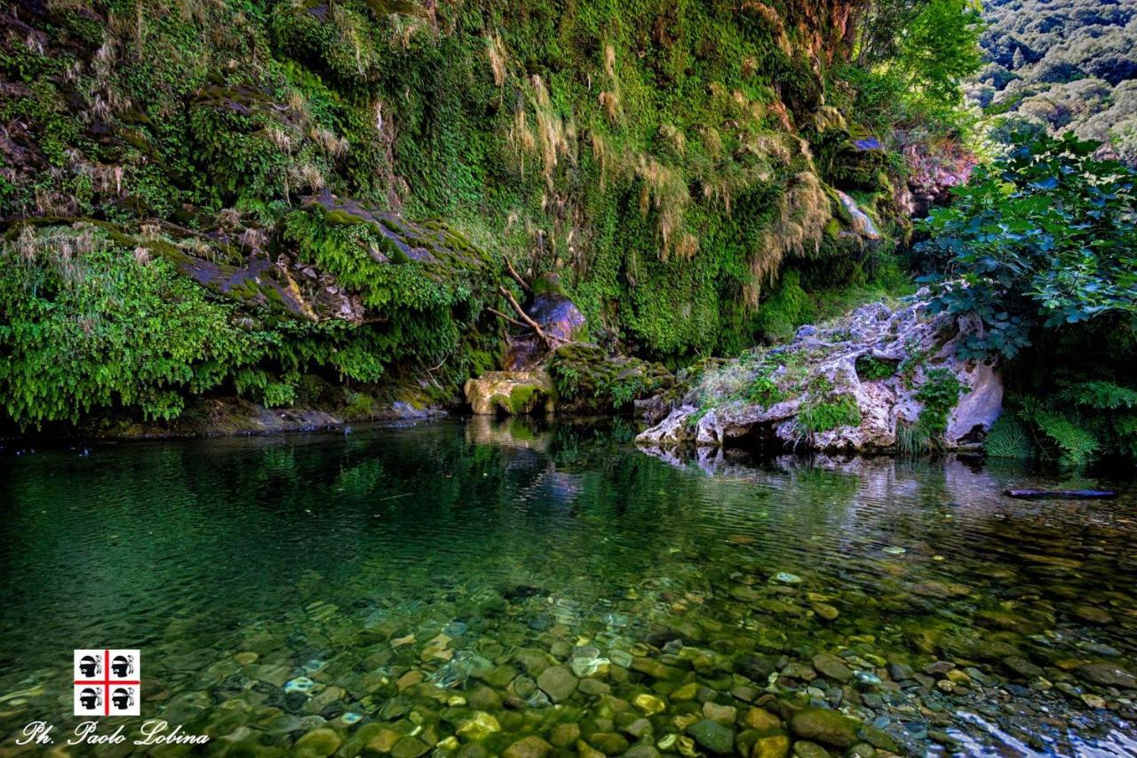 S'Orrosa Casa Vacanze Bifamiliare In Montagna Panorama Stupendo Sardegna Seulo Bagian luar foto